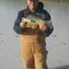 steve_hartman